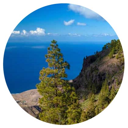 Parque Natural Tamadaba