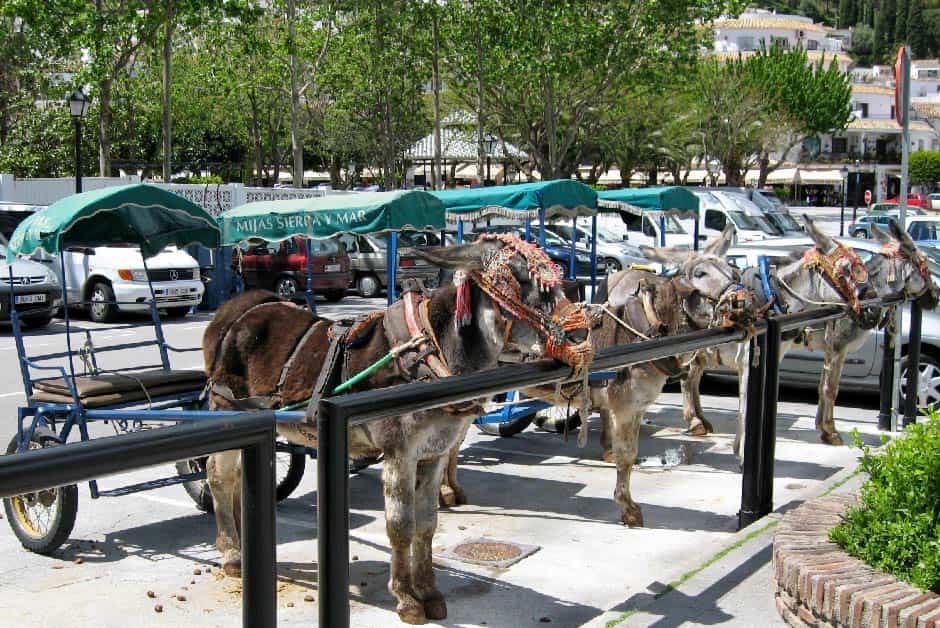 Ruta en caravana con niños Costa del Sol