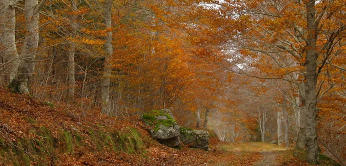 La mejor ruta por el parque natural del moncayo